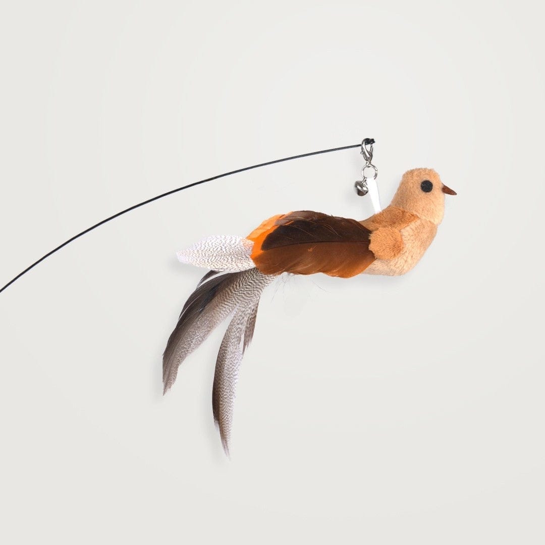 Interactive Bird Simulation Cat Toy Set